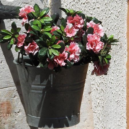 Pomarolo Residence Concaverde מראה חיצוני תמונה